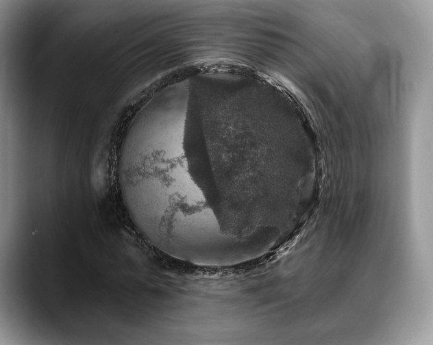X0000088850775200706081134