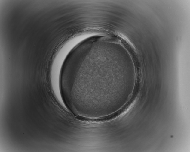 X0000088850777200706081134