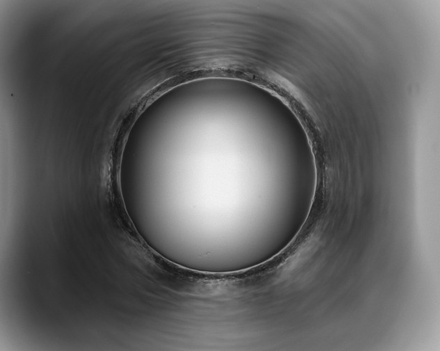 X0000088850778200706081134