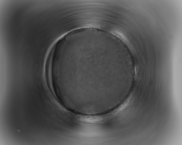 X0000088850780200706081134