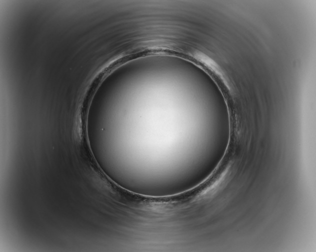 X0000088850782200706081134