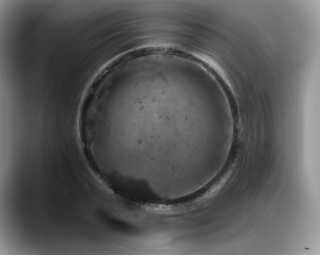 X0000088850783200706081134