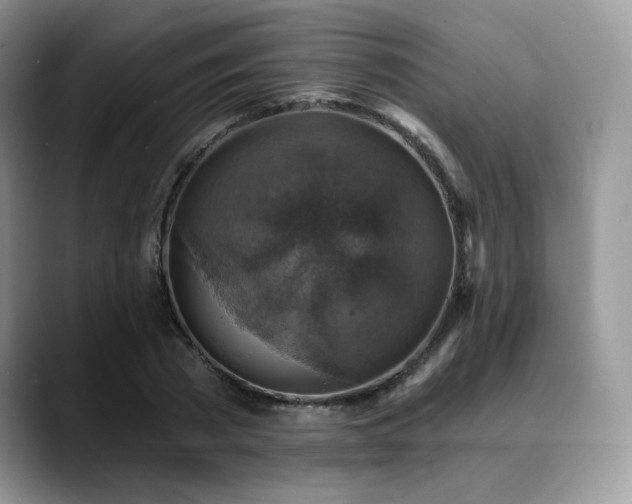 X0000088850785200706081134