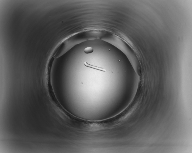 X0000088850787200706081134