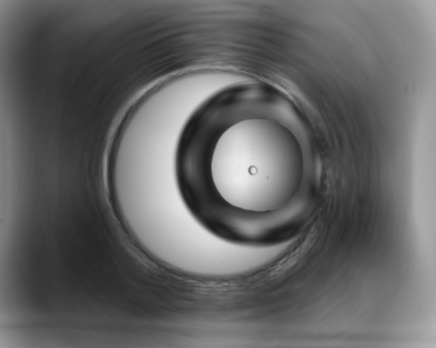 X0000088850788200706081134