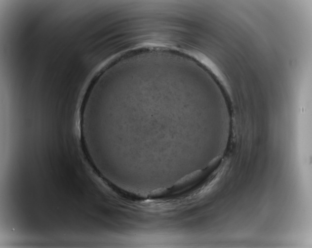 X0000088850791200706081134