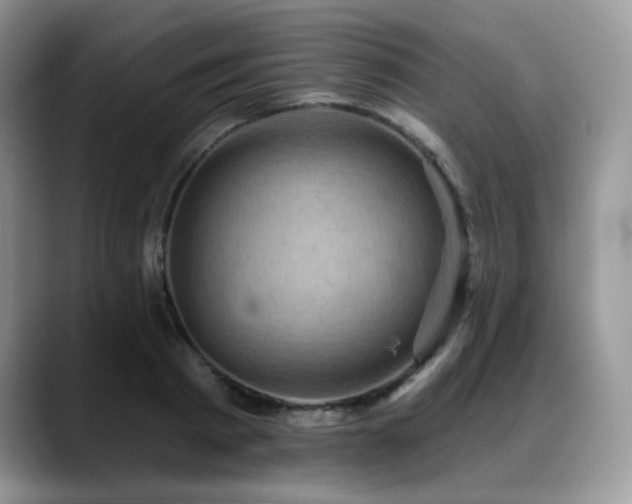 X0000088850793200706081134