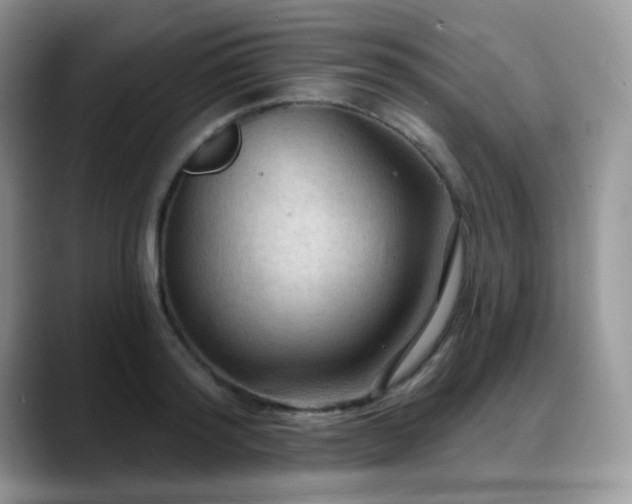 X0000088850796200706081134