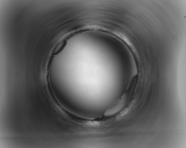 X0000088850799200706081134