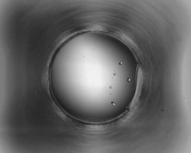 X0000088850800200706081134