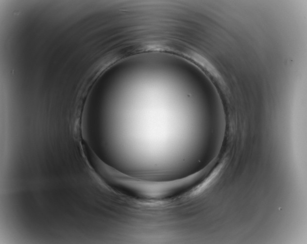 X0000088850801200706081134