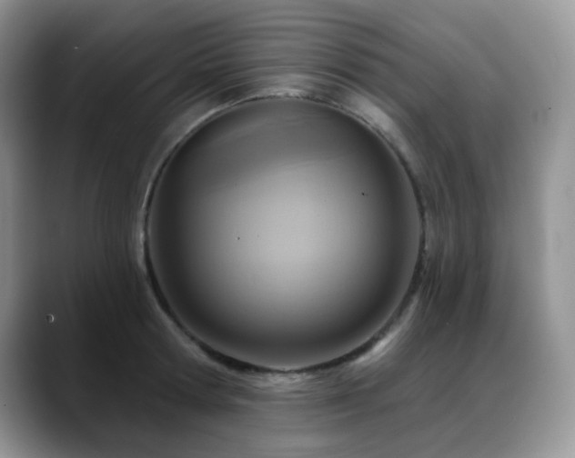 X0000088850802200706081134