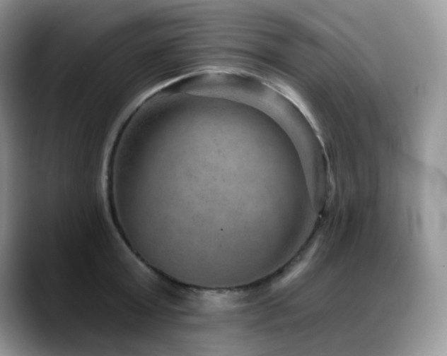 X0000088850803200706081134