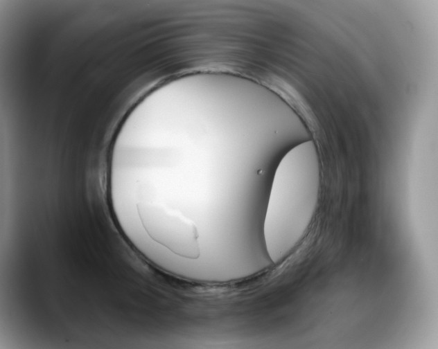 X0000088850804200706081134