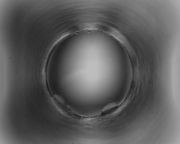 X0000088850806200706081134