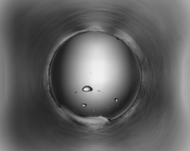 X0000088850808200706081134