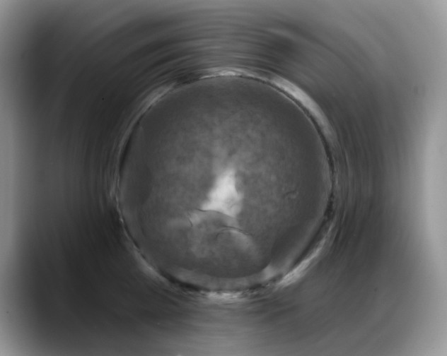 X0000088850809200706081134
