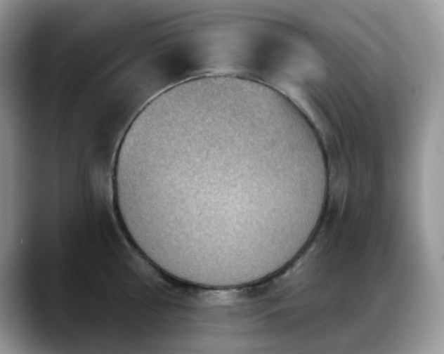 X0000088850810200706081134