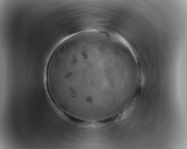 X0000088850811200706081134