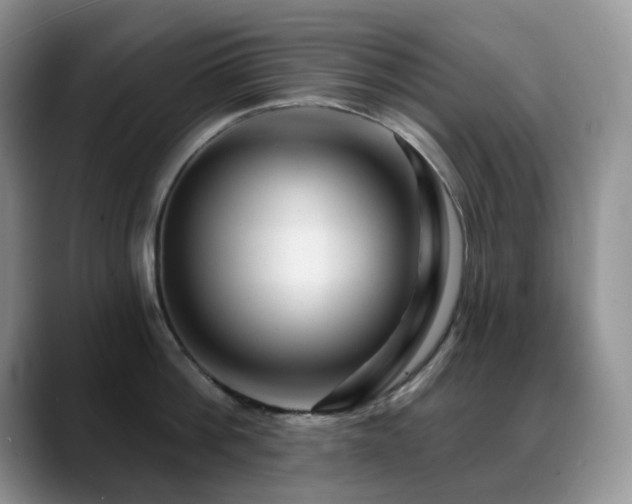 X0000088850812200706081134