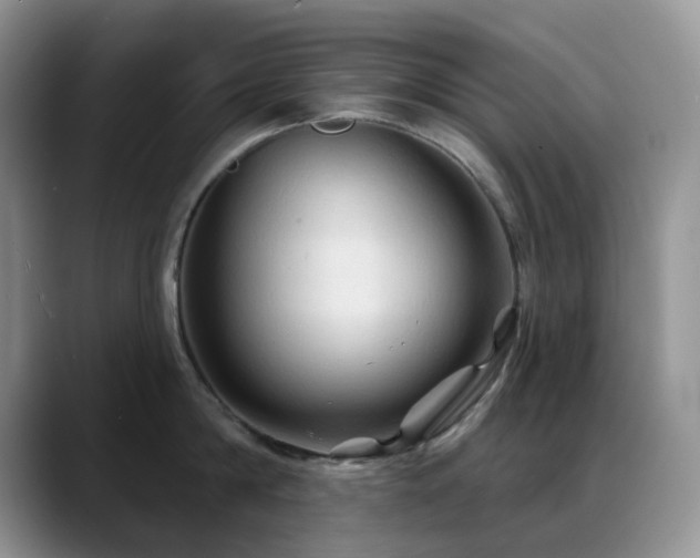 X0000088850814200706081133