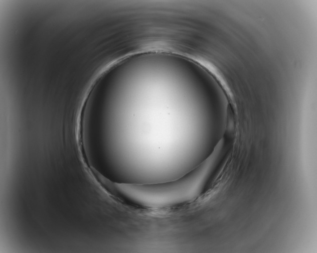 X0000088850815200706081133