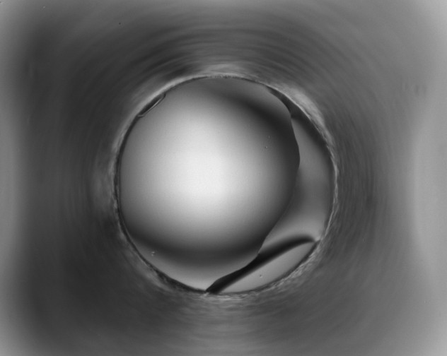 X0000088850816200706081133
