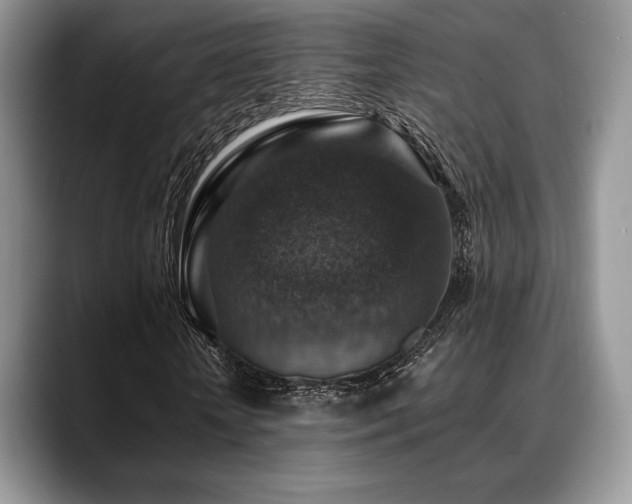 X0000088850818200706081133