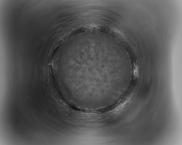 X0000088850819200706081133
