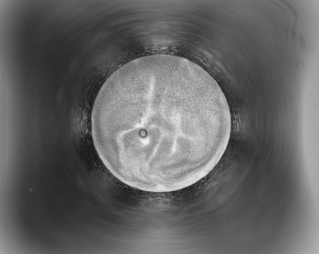 X0000088850820200706081133