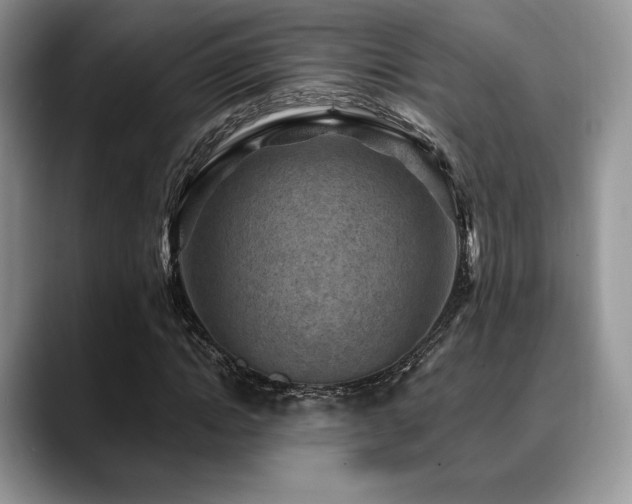 X0000088850822200706081133