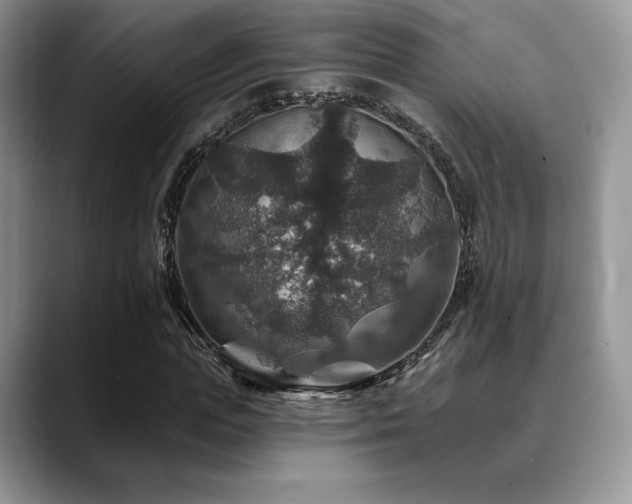 X0000088850823200706081133