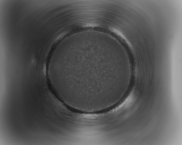 X0000088850825200706081133