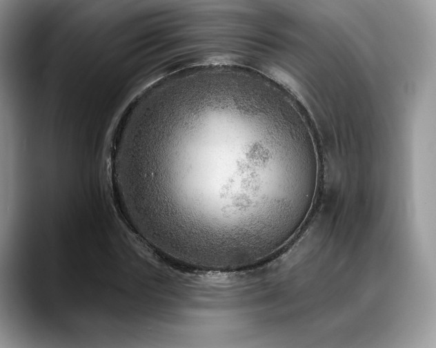 X0000088850827200706081133
