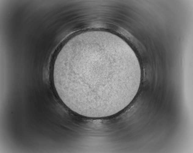 X0000088850828200706081133