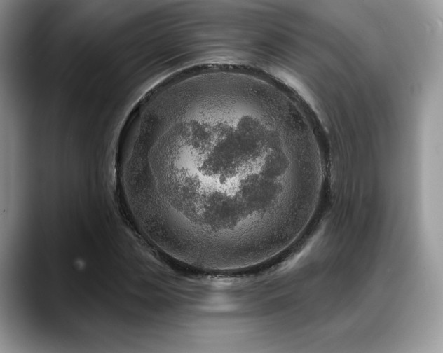 X0000088850829200706081133