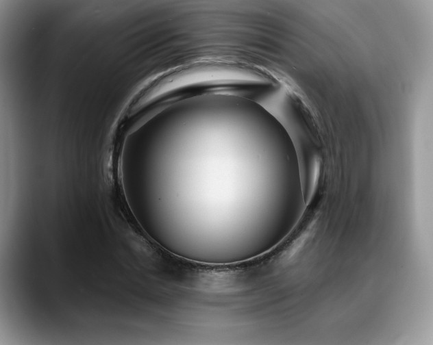 X0000088850830200706081133