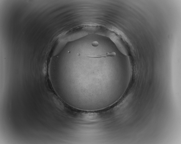 X0000088850833200706081133