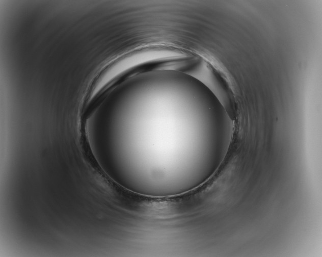 X0000088850834200706081133