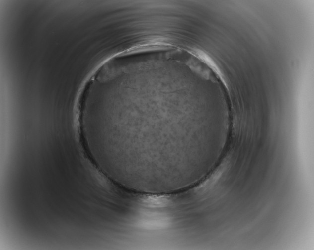 X0000088850835200706081133