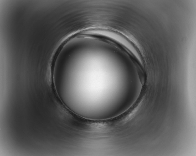 X0000088850838200706081133