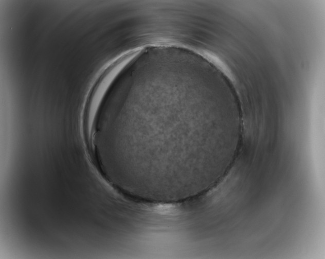 X0000088850839200706081133