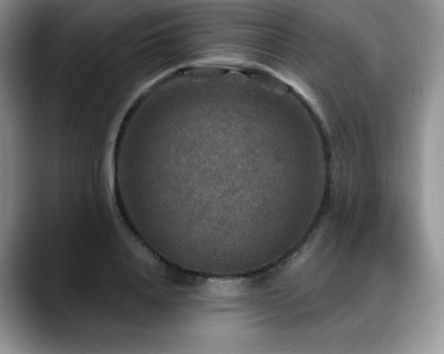 X0000088850840200706081133