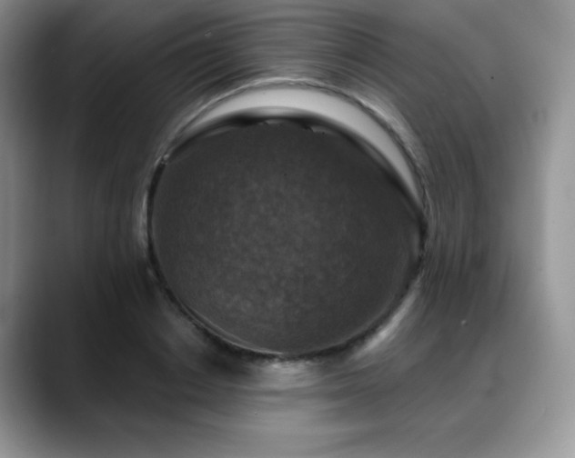 X0000088850842200706081133