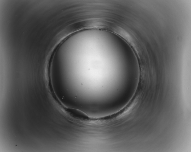 X0000088850843200706081133