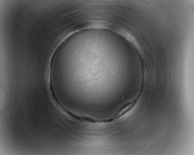 X0000088850844200706081133