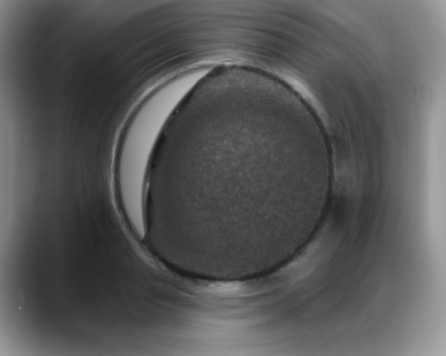 X0000088850845200706081133
