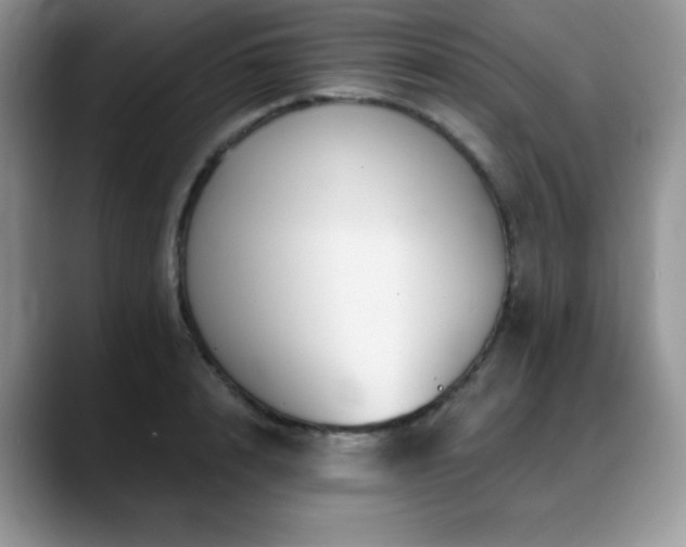 X0000088850848200706081133
