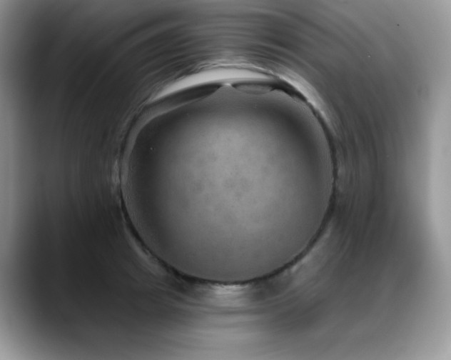 X0000088850849200706081133