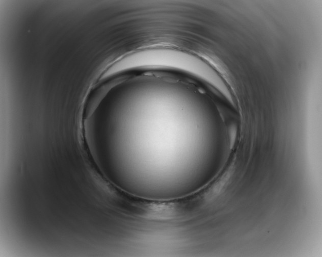 X0000088850850200706081133